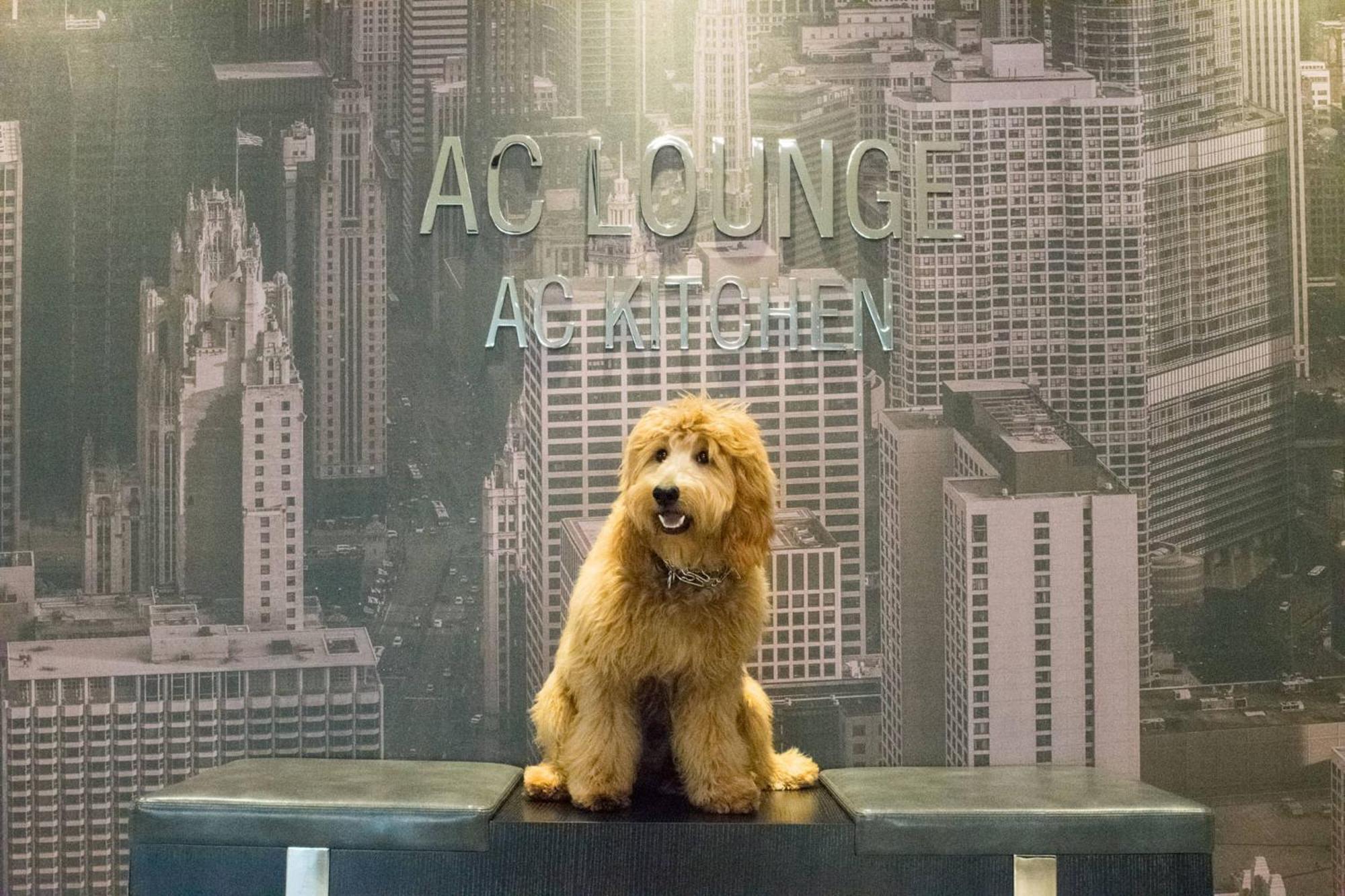 Ac Hotel Chicago Downtown Екстериор снимка